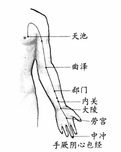 三伏天，拍打手臂上的一条线，是最好的强心“天然药”！ - 健康服务- 健康服务专区- 河南中医药大学第一附属医院